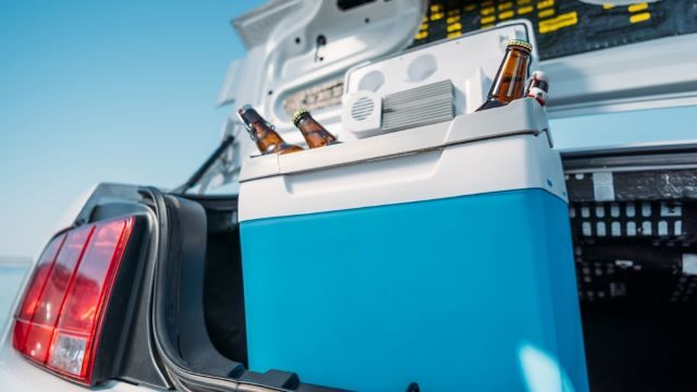 S autolednicí na cestách')