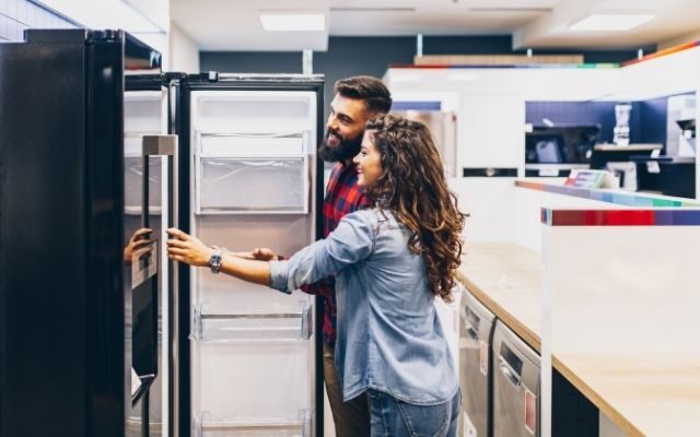 Jak si vybrat chladničku')